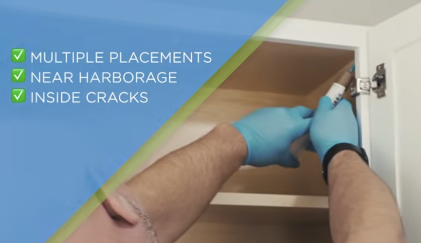 gel-bait-application-tutorial-thumb.png