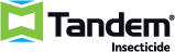 Tandem